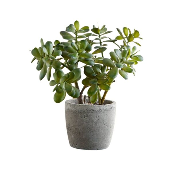 Jade