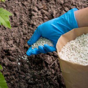 Fertilizantes